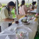 봉정연꽃체험마을
