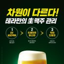 테라 이미지