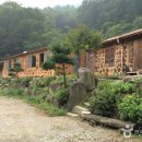 만산수목원 티스토리