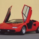 꿩대신닭 이미지