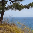 동해바다처럼 이미지