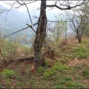 뜬봉샘농장 이미지