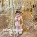 디자인씽킹뮤지엄 | 강릉 아이랑 가볼 만한 곳 폐교를 리모델링한 디자인씽킹뮤지엄 방문후기