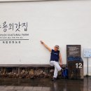 무릉1공원 이미지