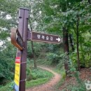 대동체육관 | [대전 동구] 대동하늘공원 - 전 견종 가능 · 맹견 입마개 · 목줄 착용 · 배변봉투 지참