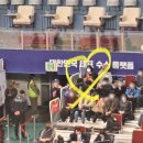 대구실내체육관(B) 이미지