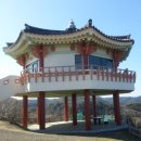 대마도투어주