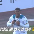 빽다방안산 - 안산시 단원구 시화호수로 623 | 빽다방안산