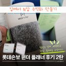 N톡PC | 롯데손보 원더 플래너 수익 후기 + N잡 도전 임산부 솔직 이야기