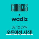 (주) 씨솔루션