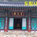 곡성-146 Daum카페