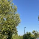 강서한강공원 이미지