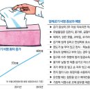 보라매스파