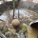 1337 | "통영굴바다 영통직영점" 내돈내산 쭈꾸미샤브샤브 후기