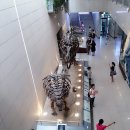 지질박물관 이미지