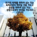 이리남중교회 이미지