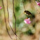 배화학교 이미지