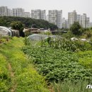 'GB 난개발 예방' 사업자 축소…산은 등 기타 공공기관 사업주체 못한다 이미지