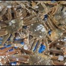 호남횟집 이미지