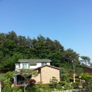 중부대로1262번길 이미지