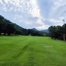 현충원로(유성-19) 이미지