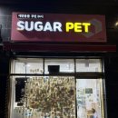 슈가멍 | 24시 애견용품 슈가펫 부산시청점 방문 후기