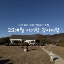 아기강아지 | 서산 해미 카페 건축가의 정원, 해미읍성 나들이 후 두돌 아기· 강아지 다녀온 후기