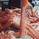 죽도회타운 이미지