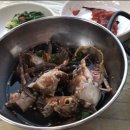 두꺼비 실내마차 - 여수시 | 두꺼비 실내마차