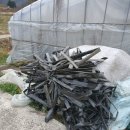 지명농장 이미지