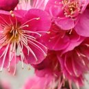 매향민박 이미지