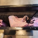 스타벅스부천신중동역점 이미지