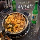 오픈양대창 태안점 | 구미 송정동 복개천 맛집 구미 곱창 대창 맛집 송정본곱창(구 신평양곱창) 내돈내산 후기