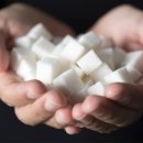 뚱보마라탕 이미지