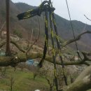 안골농장 이미지