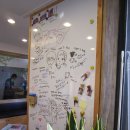 레인보우 동물병원 이미지