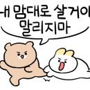 표선해변 인증센터 이미지