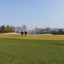 여주-0406 이미지