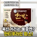 e-현대양행 | 안티푸라민 파스 한방 카타플라스마 효능 (근육통부터 어깨결림까지)
