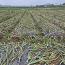 취평리 정류장 이미지