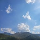 쏠레 Daum카페