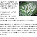 도연공인중개사사무소 이미지