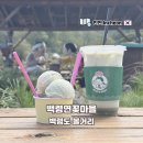 심청 | 백령도 여행 볼거리 백령연꽃마을 심청연잎라떼 연잎젤라또 후기