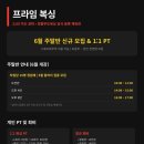 포항프라임복싱클럽 | 포항복싱 프라임복싱클럽 주말반과 복싱PT 회원모집
