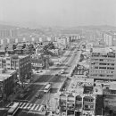 1981년 당시 서울 강남 모습 이미지
