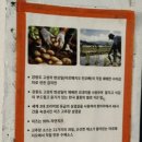 마녀삼겹살 | 남양주 묘적사 계곡 맛집, 2002 마녀의 아르페지오 토마토장 삼겹살 내돈내산 후기