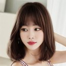 행운이네 이미지