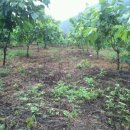 방장산 농장 이미지