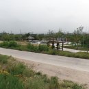 금호강식당 이미지