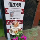 도도블리 이미지